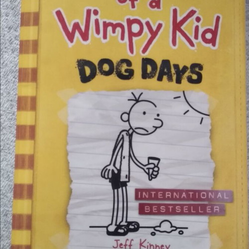 Diary of a Wimpy Kid Dog Days book like new, English