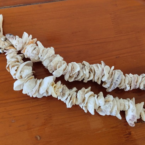 Worry beads made of natural shells handmade