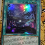 Forest Of Lost Flowers Field Spell Yu-Gi-Oh! κάρτα μεταχειρισμένη Ultra Rare