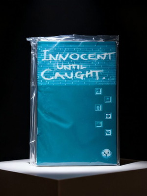 Innocent Until Caught PC game very good condition, adventure