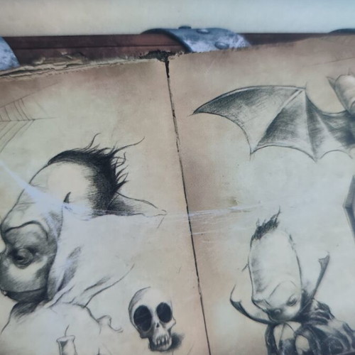 The Vampire children's book like new