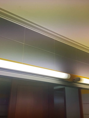 Fluorescent lamp used with switch