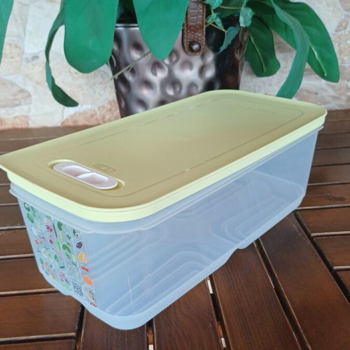 Tupperware 6L smart cooling container new