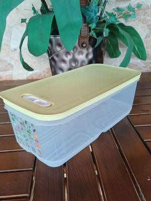 Tupperware 6L smart cooling container new