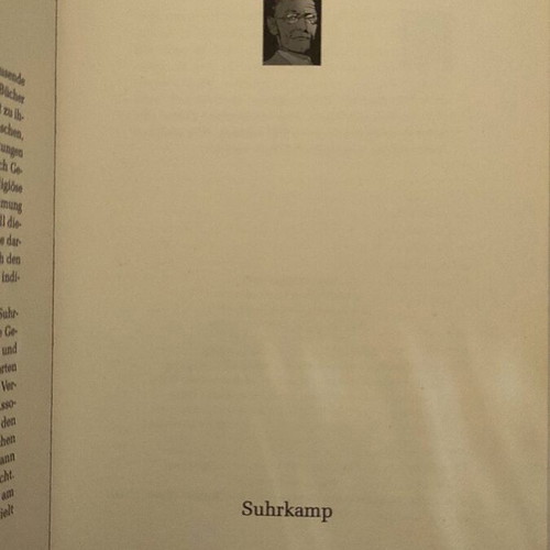 Hermann Hesse antwortet auf Facebook paperback like new, German literature