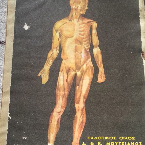 Anthropology book used, high school decade 1950