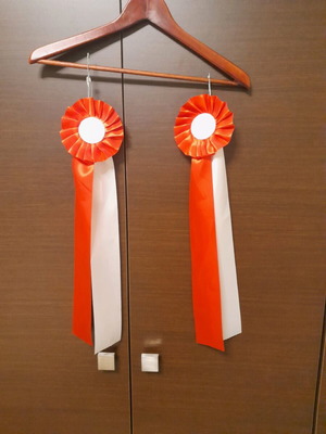 Church ribbons new, pack of 2, length 55 cm