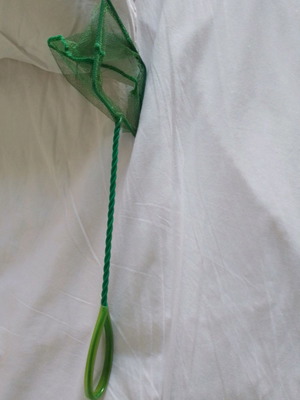 Small aquarium net used