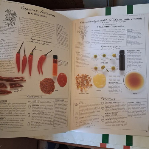 The Herb Society's Complete Guide to Medicinal Herbs by Penelope Ody like new, Greek edition