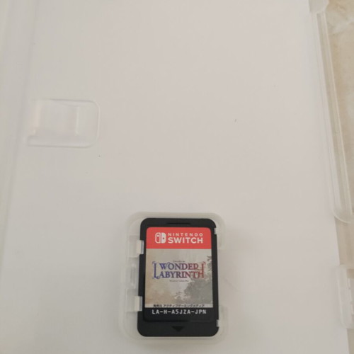Record of Lodoss War Deedlit in Wonder Labyrinth Nintendo Switch game like new with artbook and OST CD