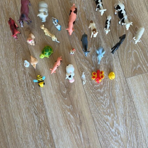 Plastic animal toys used