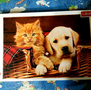 Puzzle 500 pieces
