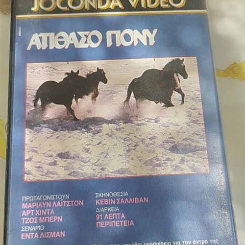 The Wild Pony VHS video