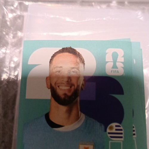 Panini FIFA World Cup 2026 sticker like new