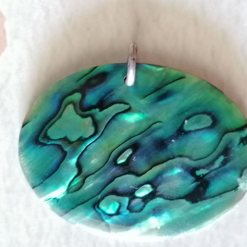 Abalone Shell Pendant Oval with Silver 925 Ring new, blue and green