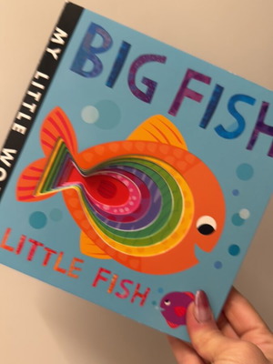 My Little World Big Fish Little Snigs book of opposites new