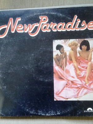 Βινύλιο New Paradise μεταχειρισμένο, ηλεκτρονική, LP disco
