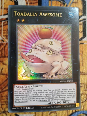Toadally Awesome Effect Monster Yu-Gi-Oh! card like new