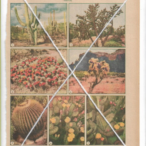 Vintage printed materials pack of 3 with floral and garden themes used
