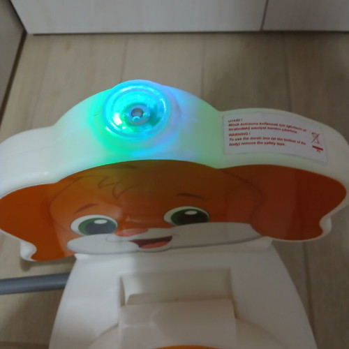 Pilsan educational dog potty