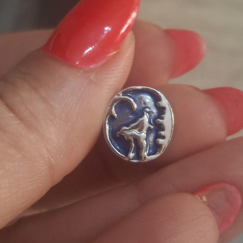 Charm for bracelets, new, blue and silver