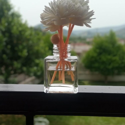 Aromatic diffuser with floral sticks new