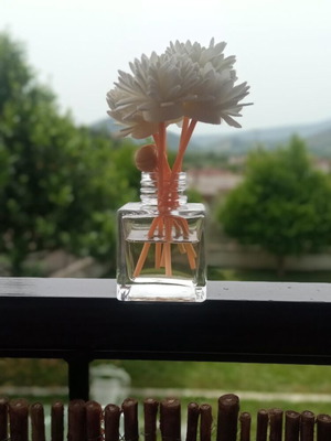 Aromatic diffuser with floral sticks new