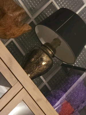 Replacement lamp like new