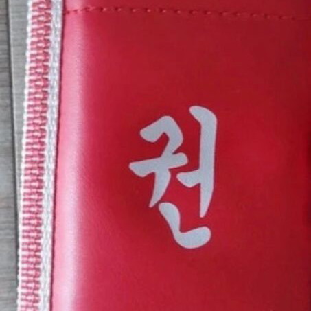 Taekwondo equipment like new with Daedo guards and Olympus helmet