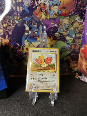 Spearow Jungle Japanese Old Back Pokemon Κάρτα σαν καινούργιο
