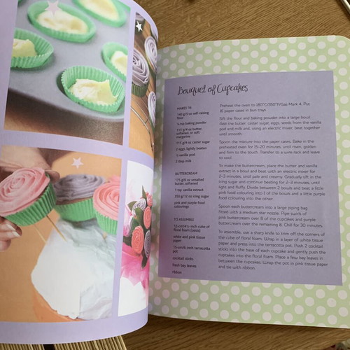 Cupcake Cookbook new, English