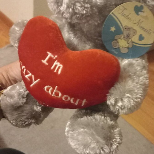 Teddy bear new, perfect for Valentine's Day