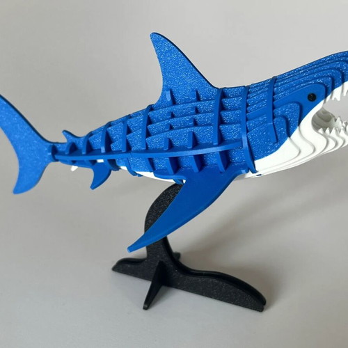 3D Shark puzzle new