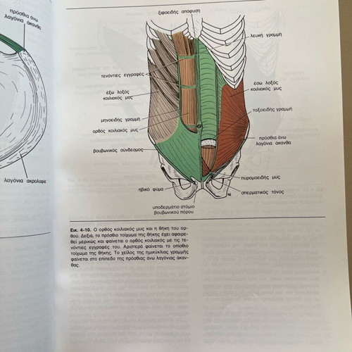 Clinical Anatomy used, Litsas Publications