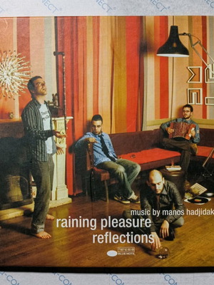 Raining Pleasure Reflections CD used, rock