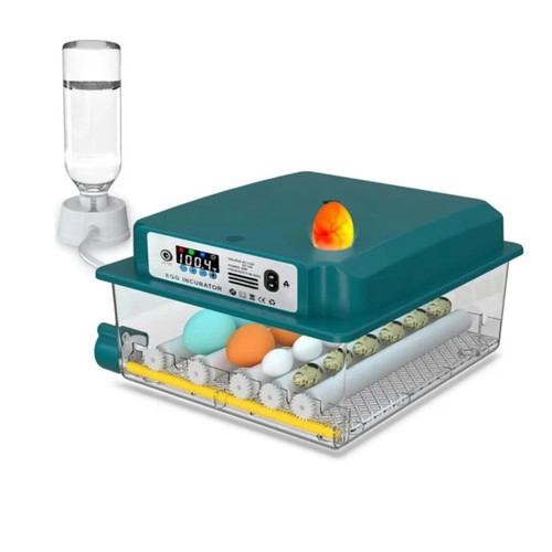 Automatic Egg Incubator with LCD Screen and Dual Power Supply