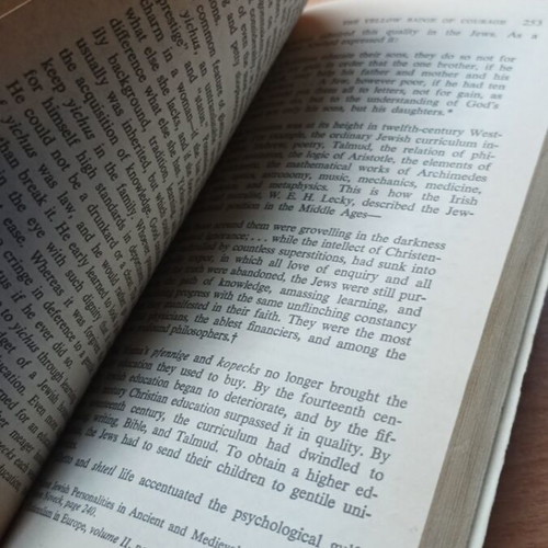 Jews God and History book like new from 1962