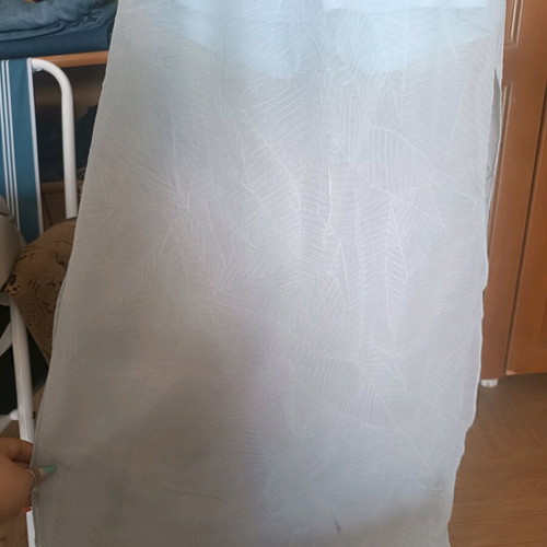 Long transparent skirt with shorts