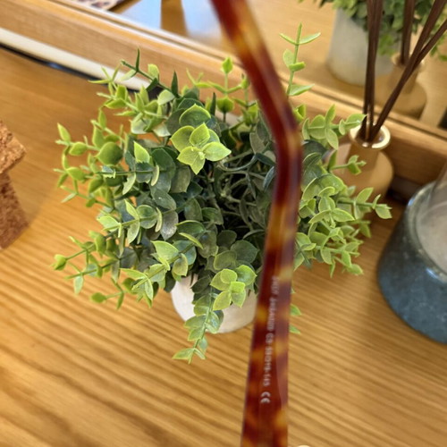 Red Raven Oversized Sunglasses Tortoise Shell Like New