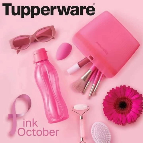 Tupperware Small Silicone Bag 540ml New