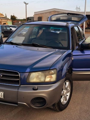 Subaru Forester 2.0 XT Panorama 2004 μεταχειρισμένο, βενζίνη, χειροκίνητο
