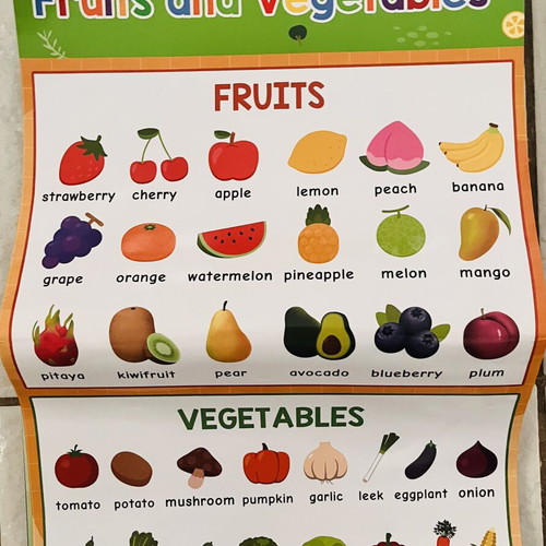 English learning posters like new for kids' room or classroom