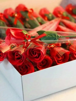 Eternal Red Rose new, decorative gift