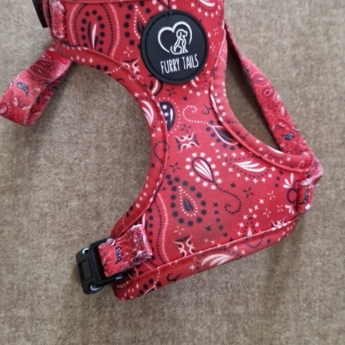 FURRY TAILLS dog harness with leash, like new, red bandana