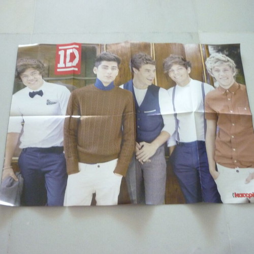 One Direction Tokio Hotel Demi Lovato double collectible poster used