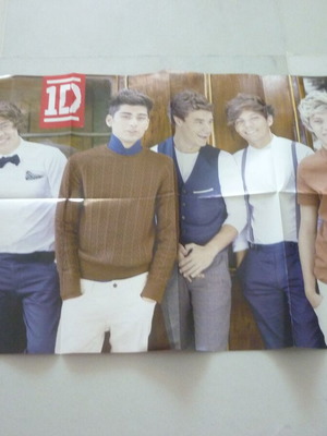 One Direction Tokio Hotel Demi Lovato double collectible poster used