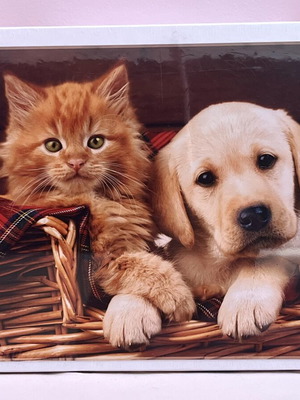 Puzzle 500 pieces kitten and puppy Trefl new