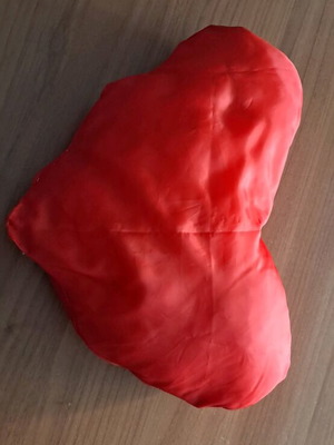 Cloth pillow new