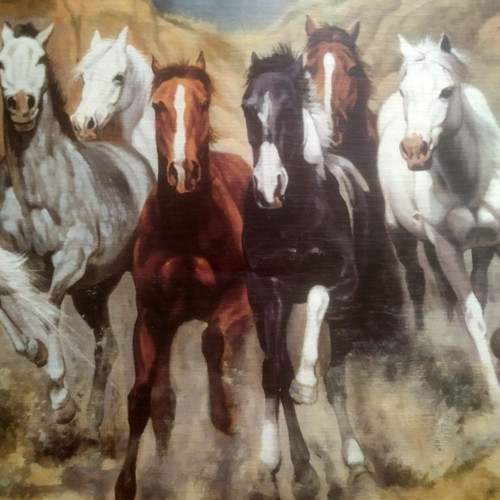 Canvas painting Herd of Horses in Freedom by S. Santos used