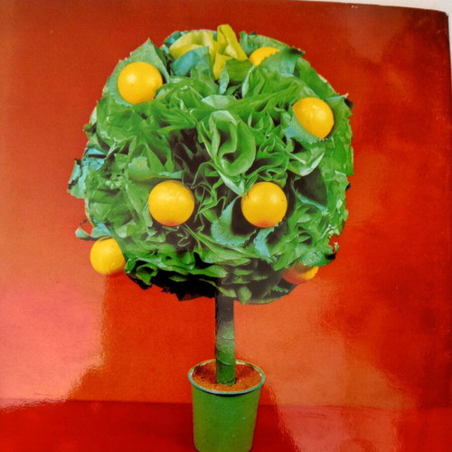 Instruction book for making paper flowers new